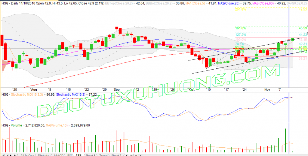 hsg-chart