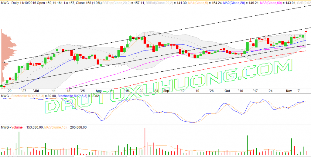 mwg-chart